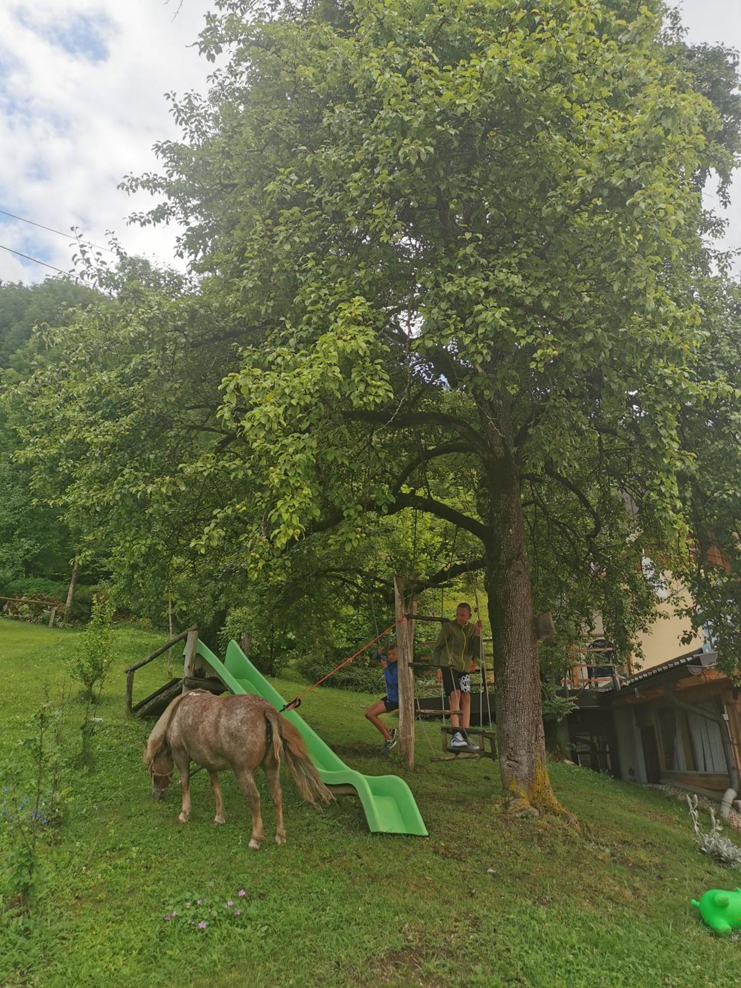 בגונג'ה נה גורנג'סקם Slovenian Traditional Guest House מראה חיצוני תמונה