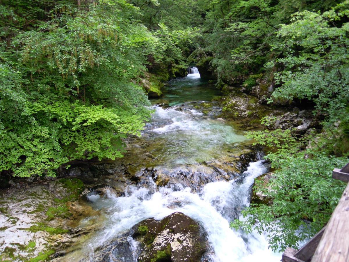 בגונג'ה נה גורנג'סקם Slovenian Traditional Guest House מראה חיצוני תמונה