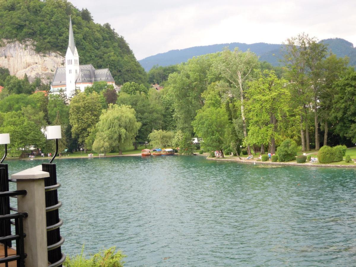 בגונג'ה נה גורנג'סקם Slovenian Traditional Guest House מראה חיצוני תמונה