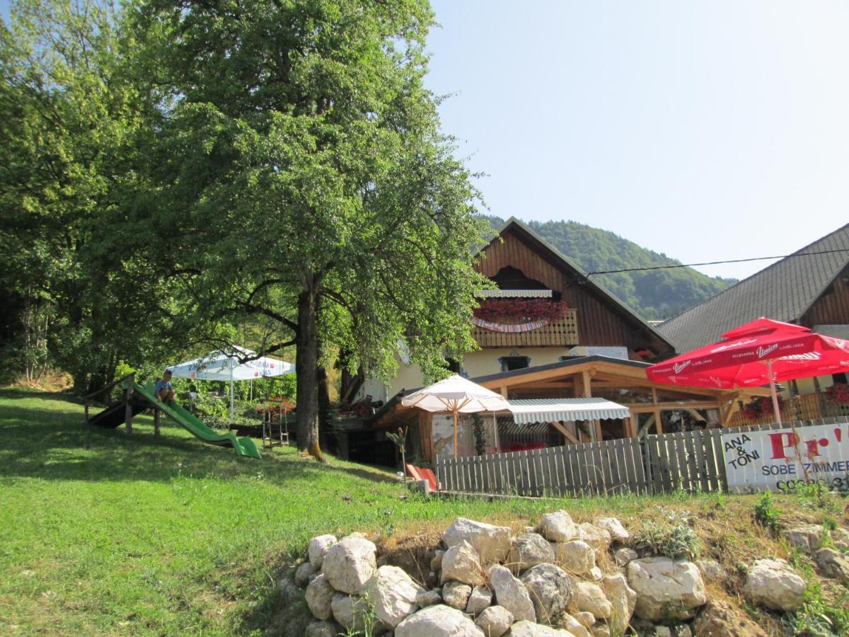 בגונג'ה נה גורנג'סקם Slovenian Traditional Guest House מראה חיצוני תמונה